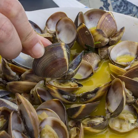 B20 - Sun And Pool Lejlighed Lagos